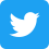 Twitter Social Icon Rounded Square Color